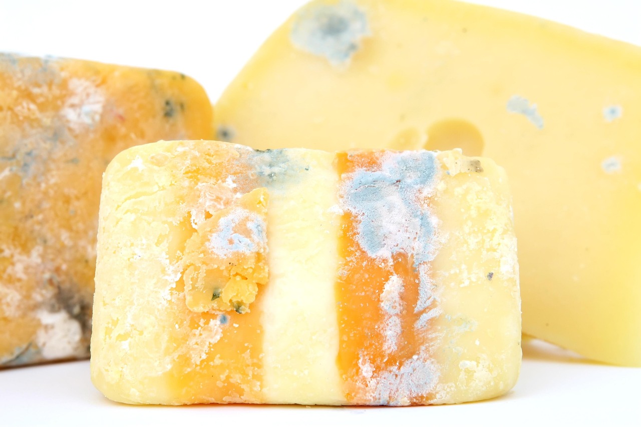 Formaggio conservato in frigo con trucco per prevenire la muffa.